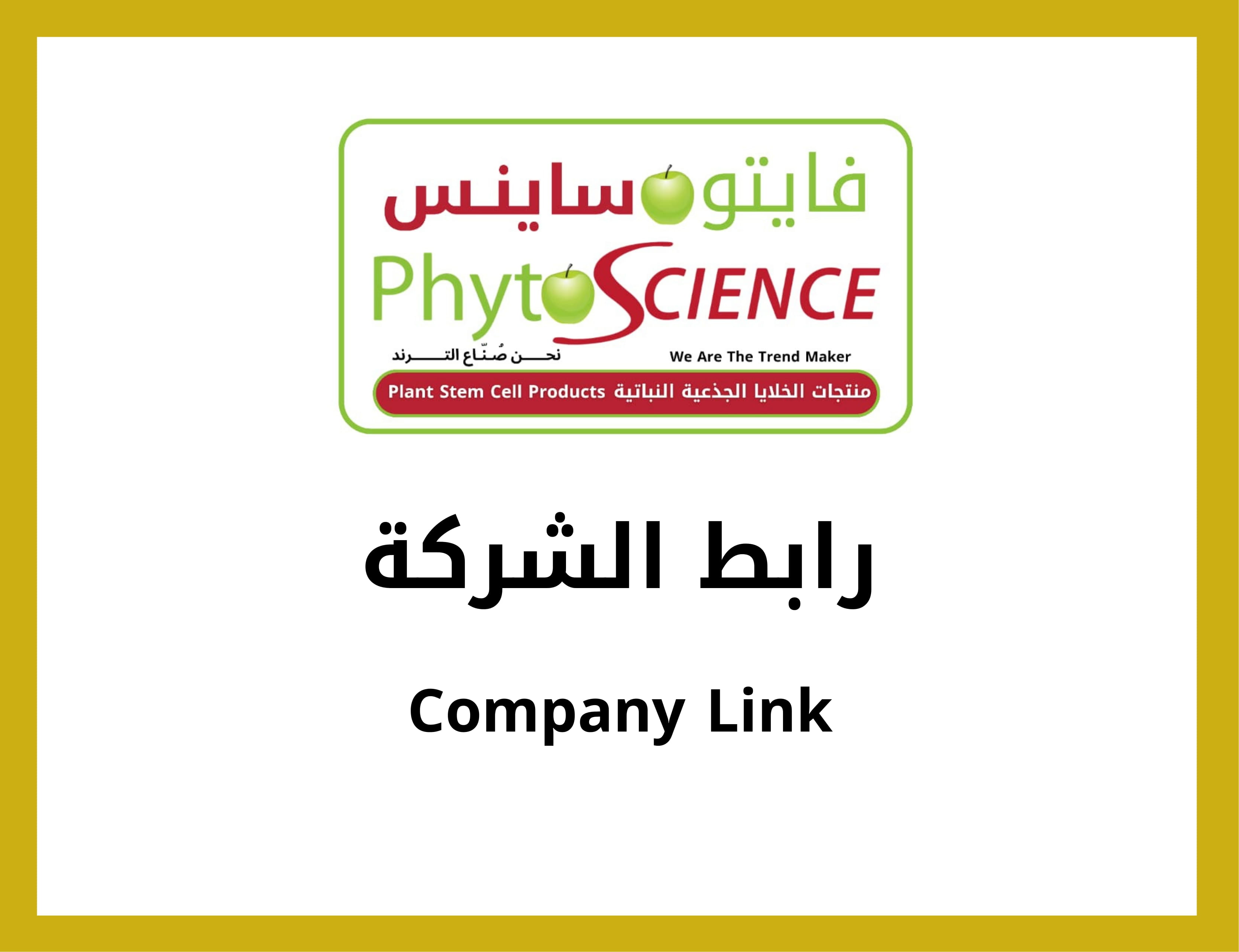 رابطالشركة 